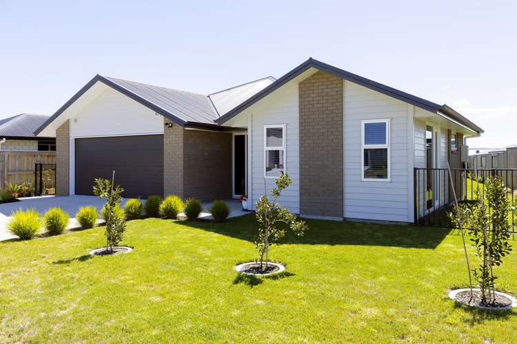 77 Harakeke Drive Wharewaka_16