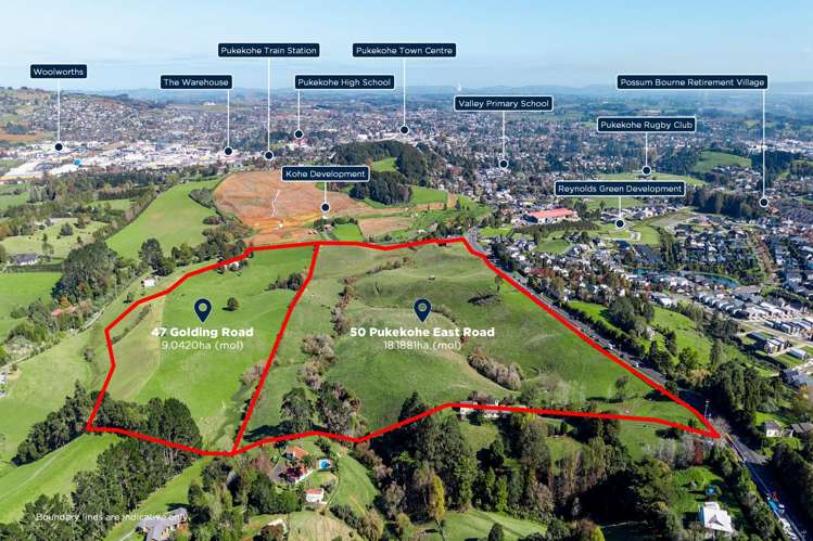 47 Golding Road and 50 Pukekohe East Road Pukekohe_8