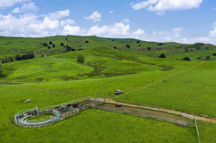 246 Allen and Eyre Road Onewhero_6