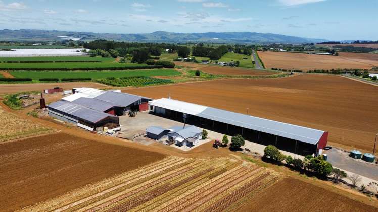 29 Dazeley Road Puni_20