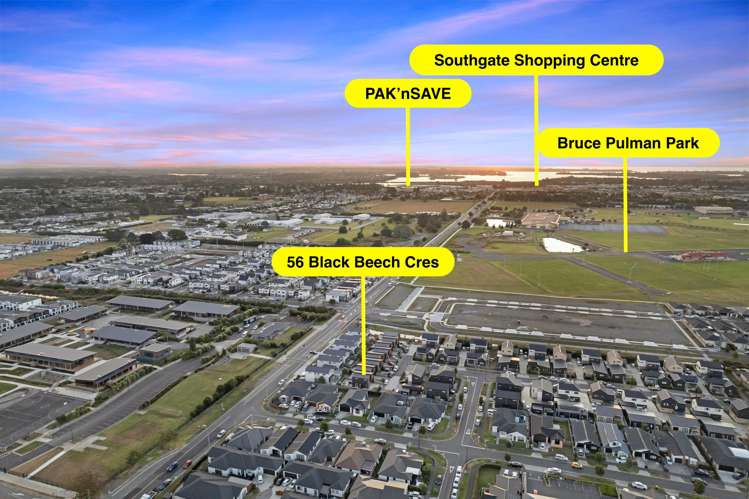 56 Black Beech Crescent Takanini_19