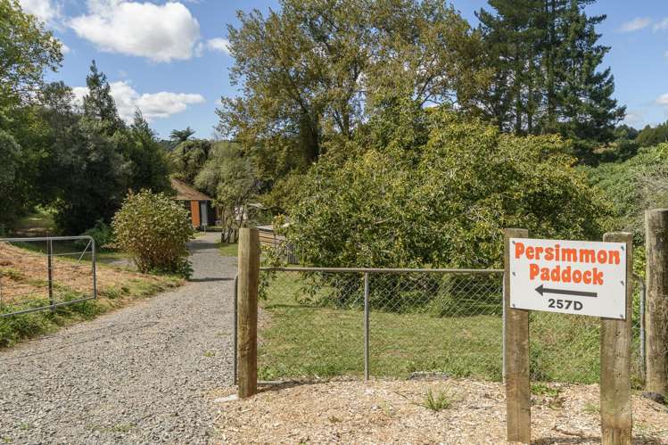 257D Whakamarama Road Whakamarama_23