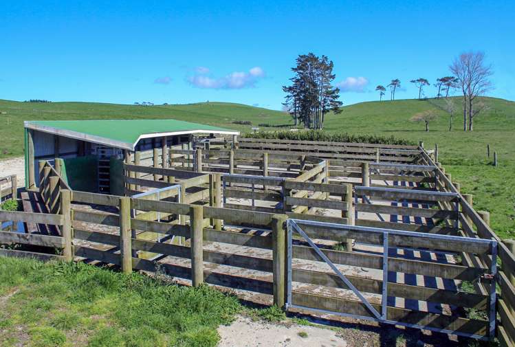 295 Waiteitei Road Wellsford_2