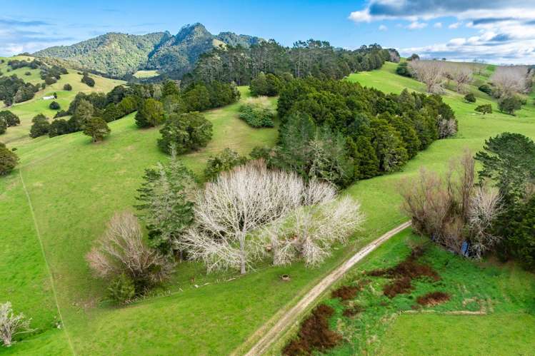 Lots 2 and 5 Leslie Road Maungakaramea_12