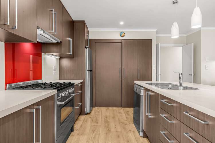 117F Old Renwick Road Springlands_7