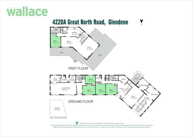 4220A Great North Road Glendene_1