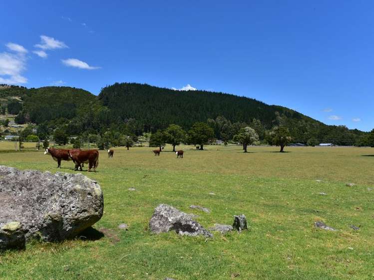 471 Crane Road Kauri_0