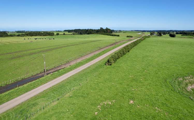 149 Paerewa Road Waverley_22