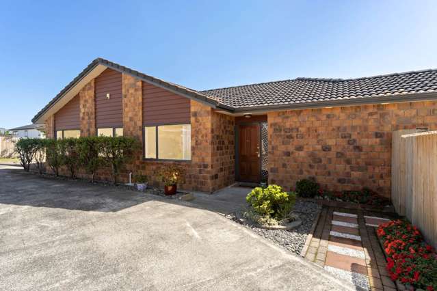 55a Willerton Avenue New Lynn_2