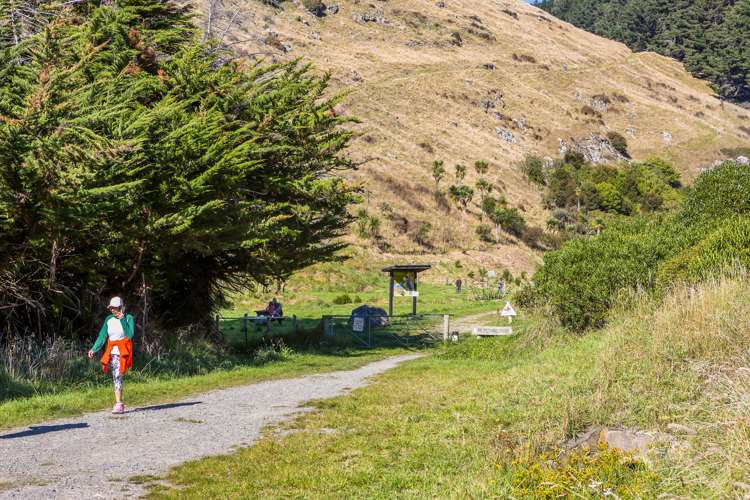 55 Albert Terrace Saint Martins_21