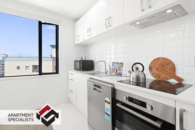 1a/33 Mount Street Auckland Central_1