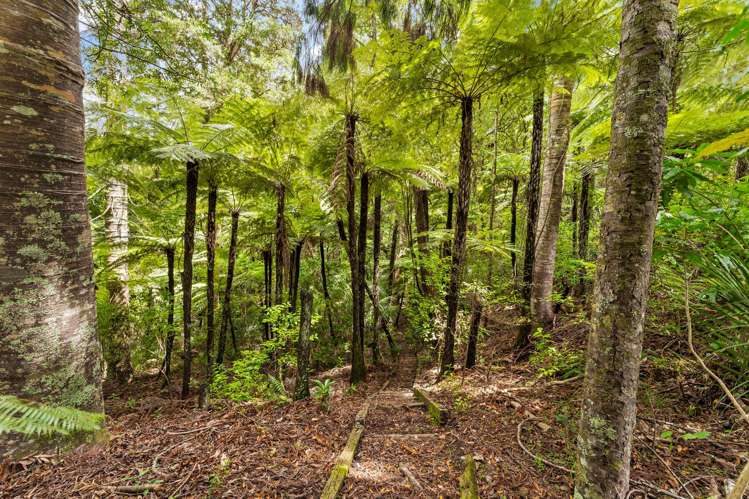 70 Wilson Road Warkworth_54