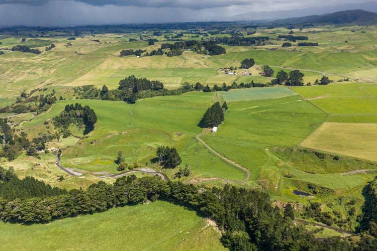 412 France Road Matamau_9