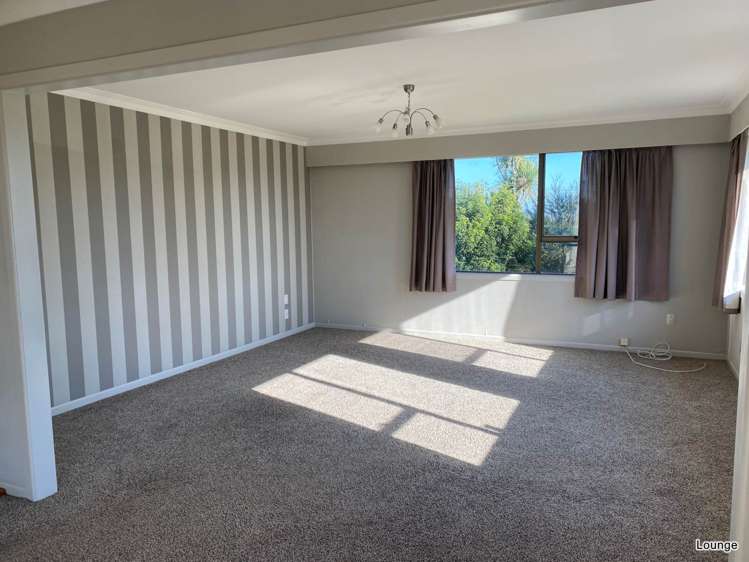 696 Koheroa Road Mercer_5