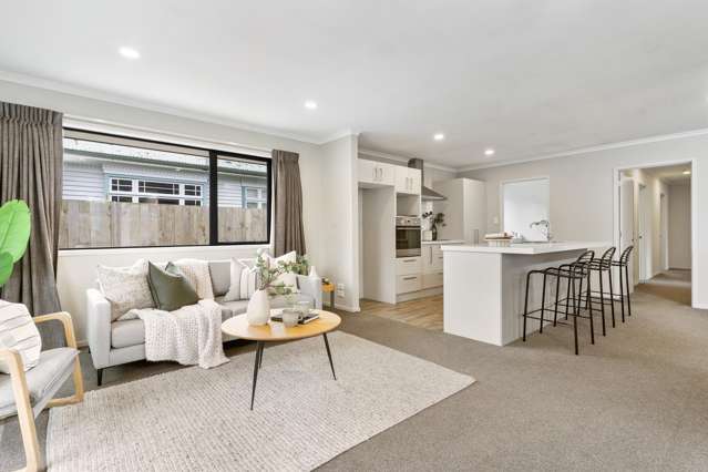 61 Brittan Street Linwood_2