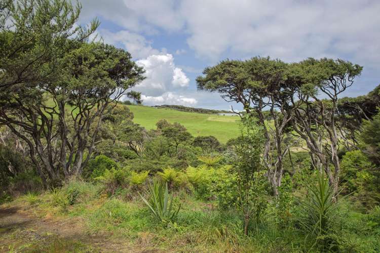 1615 Whaanga Road Raglan_14