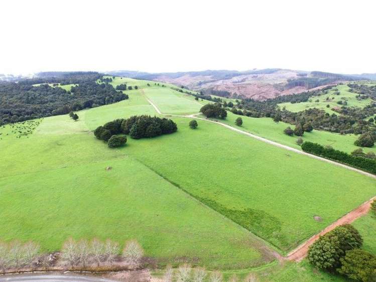 684 Trounson Park Road Dargaville Surrounds_14