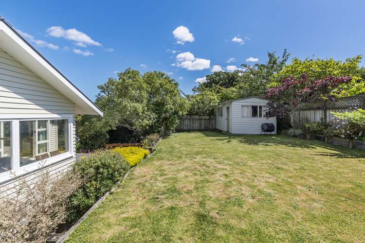 77 Beauchamp Street Karori_17