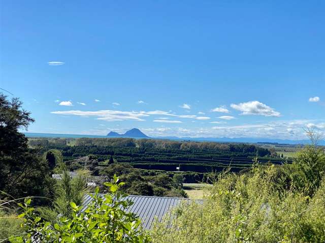 4 Kereru Lane Matata_2