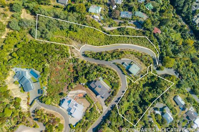 Looking For An Opportunity?