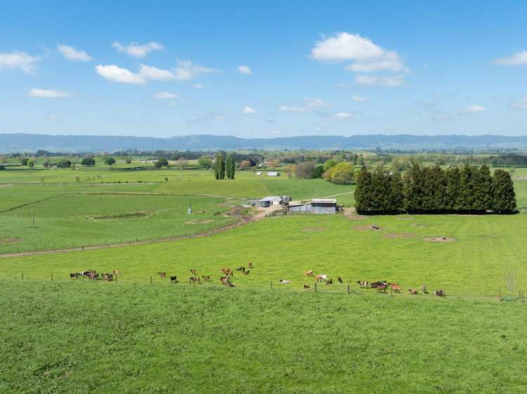 661 State Highway 27, Hinuera Okoroire_10