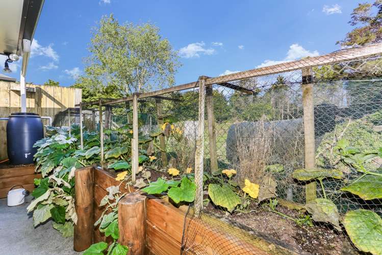 39e Gibson Road Tuakau_17