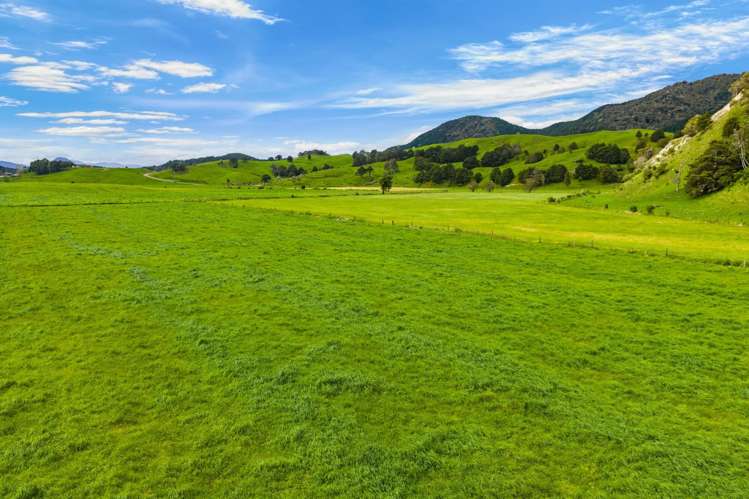 Omana Road Tangiteroria_13