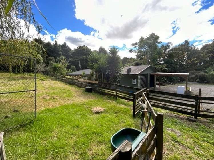 397 Tauraroa Road 2055_14