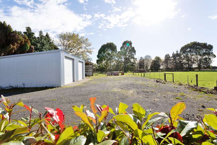 223 Roslyn Road Roslyn Bush_16