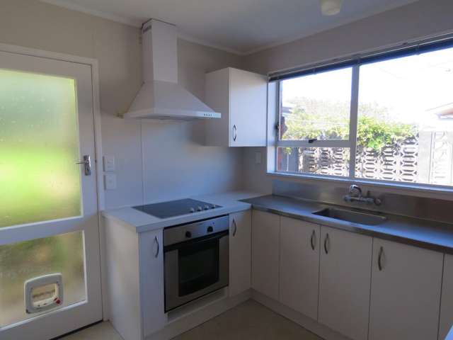 19b Norman Street Vogeltown_1