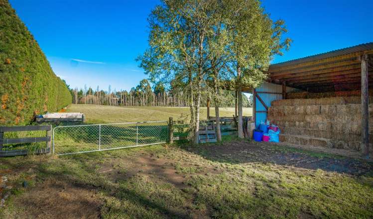 173 Bells Road West Melton_20