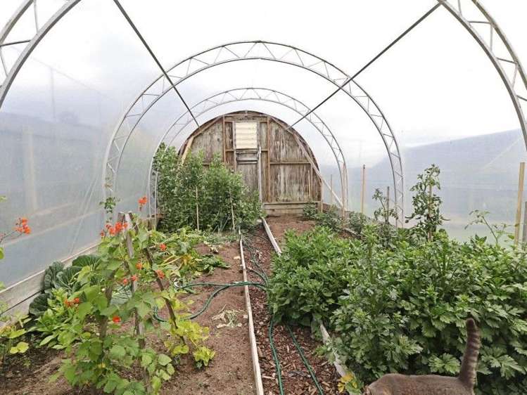 84 Lagan Street Bluff_20