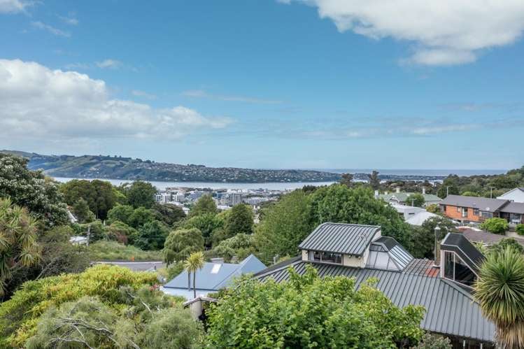 720 Highgate Maori Hill_11