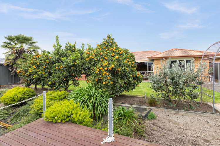 14 Mcnaughton Place Onekawa_4