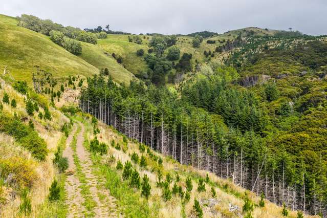 226 Middle Road Pigeon Bay_2