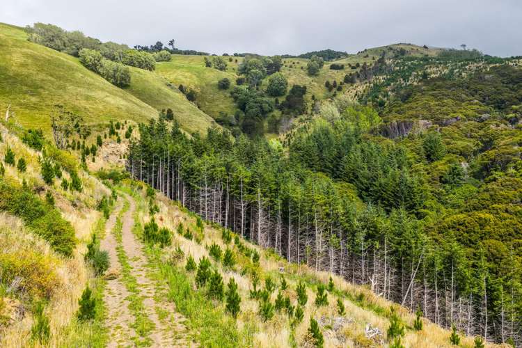 226 Middle Road Pigeon Bay_2