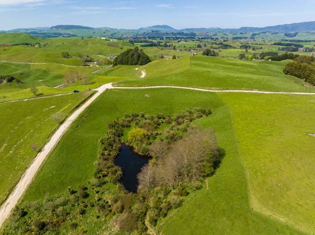 385 Whirinaki Valley Road Rotorua Surrounds_3