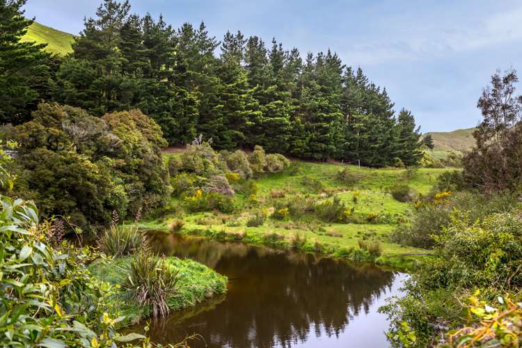 174 Opaki Kaiparoro Road Eketahuna_9