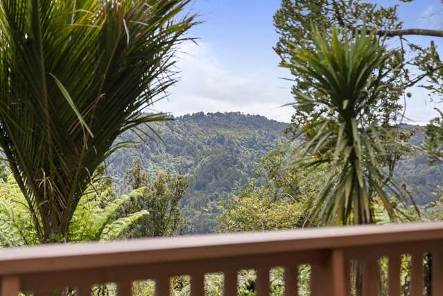 19A Te Aute Ridge Road Bethells Beach_3