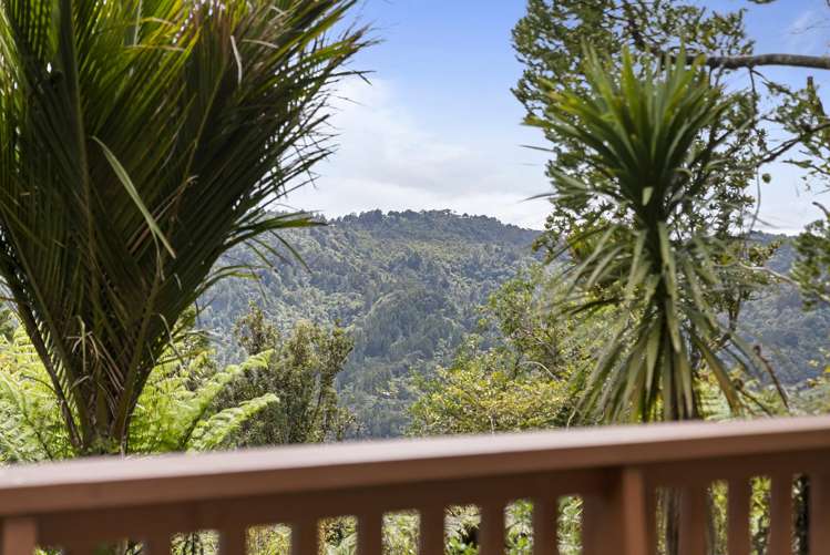 19A Te Aute Ridge Road Bethells Beach_3
