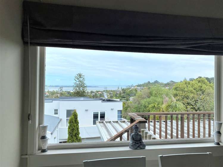 81 Carlton Street Hillsborough_5