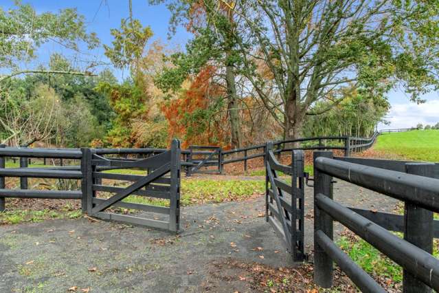 Woodlyn Drive Karaka_2