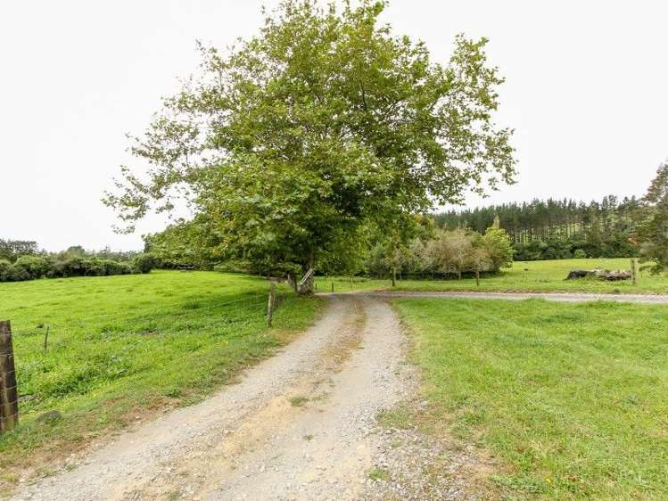 1059 Mountain Road Inglewood_37