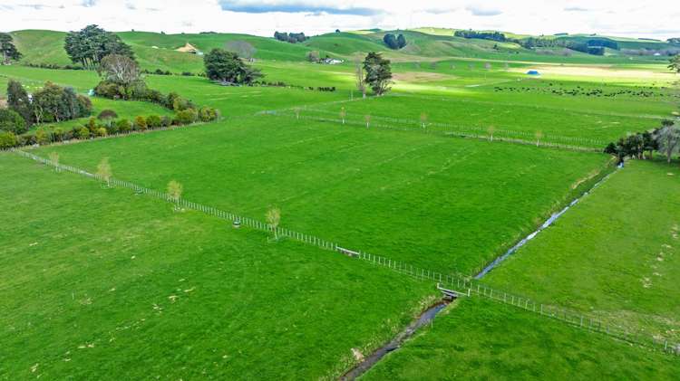 24 Chatham Street Pahiatua_15