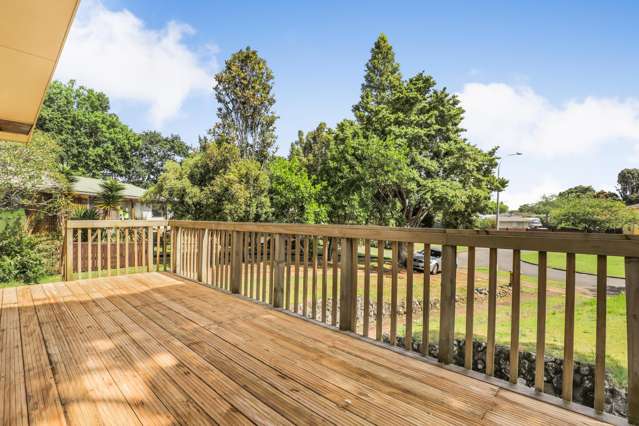 28 Mcshane Street Pukekohe_1