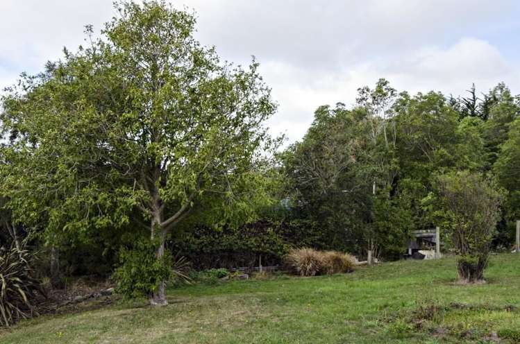 32 Collins Street Waikouaiti_12