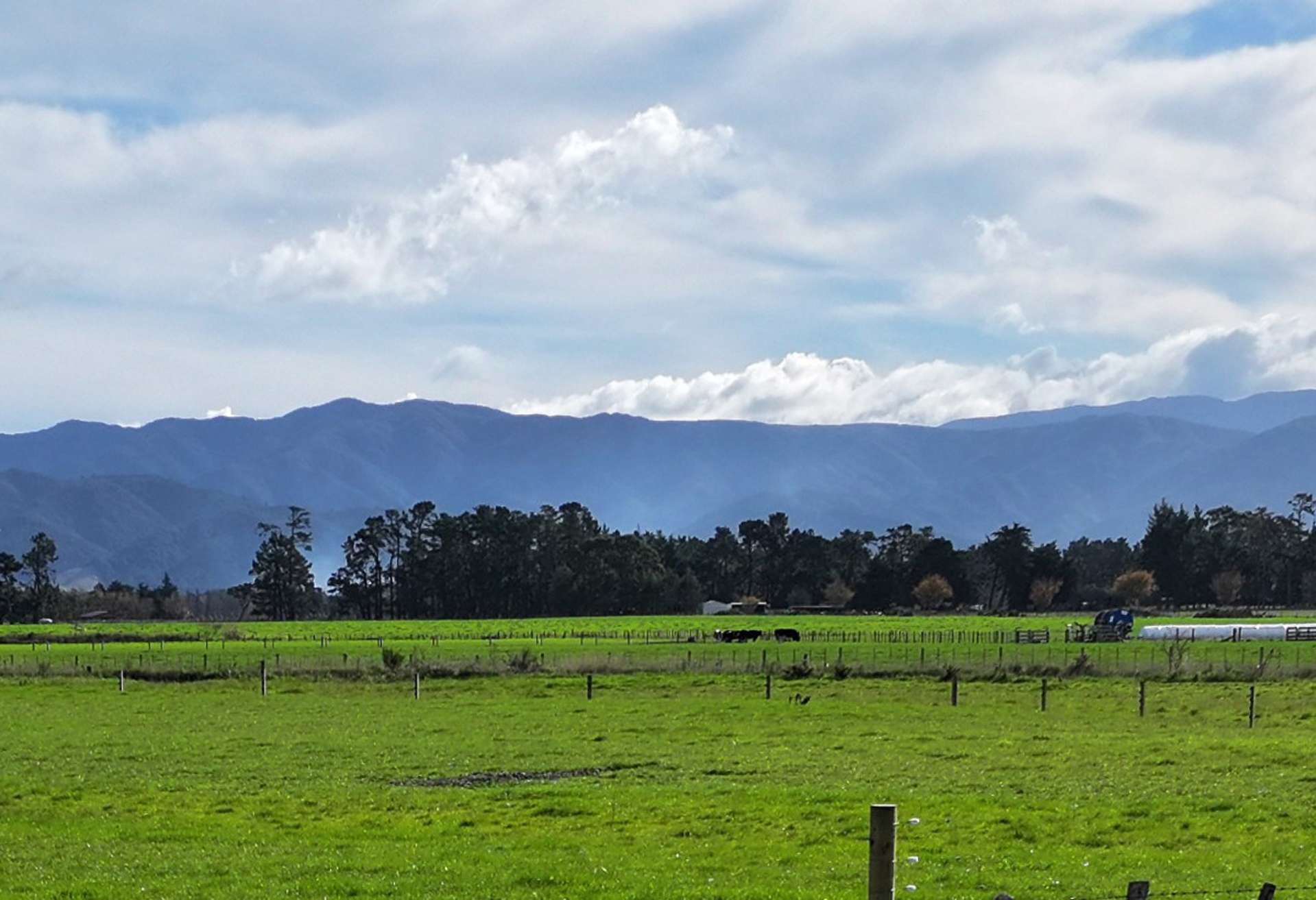 Te Maire Road Featherston_0