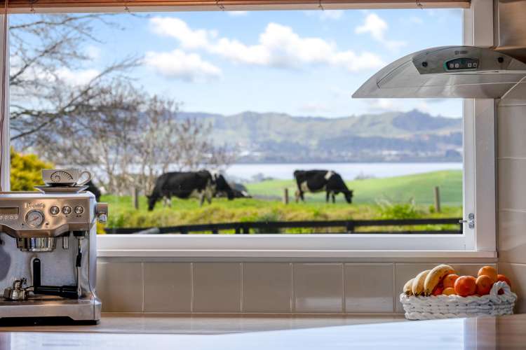 819 Waikokowai Road Ruawaro_8