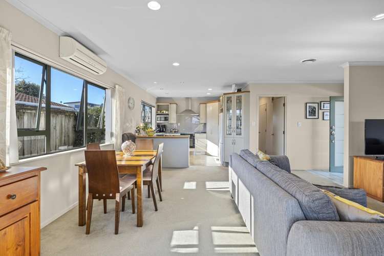 153A Carrington Street Vogeltown_11