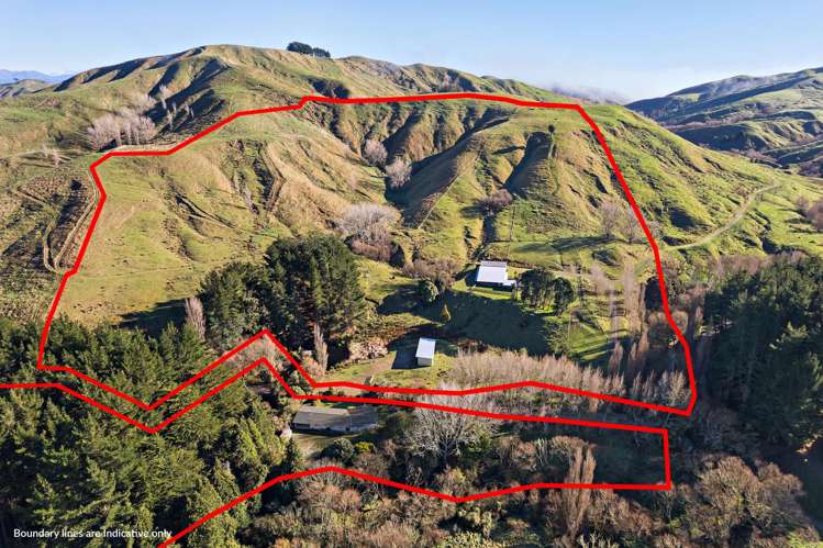 145 Mangarei Road Bideford_22